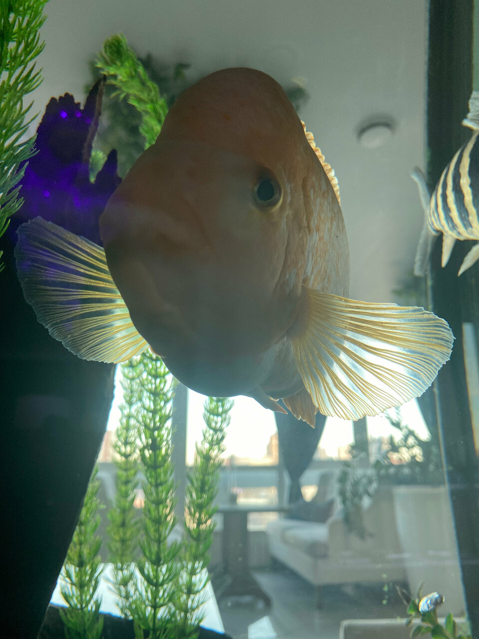 Гостиница Европа Ростов-на-Дону-229