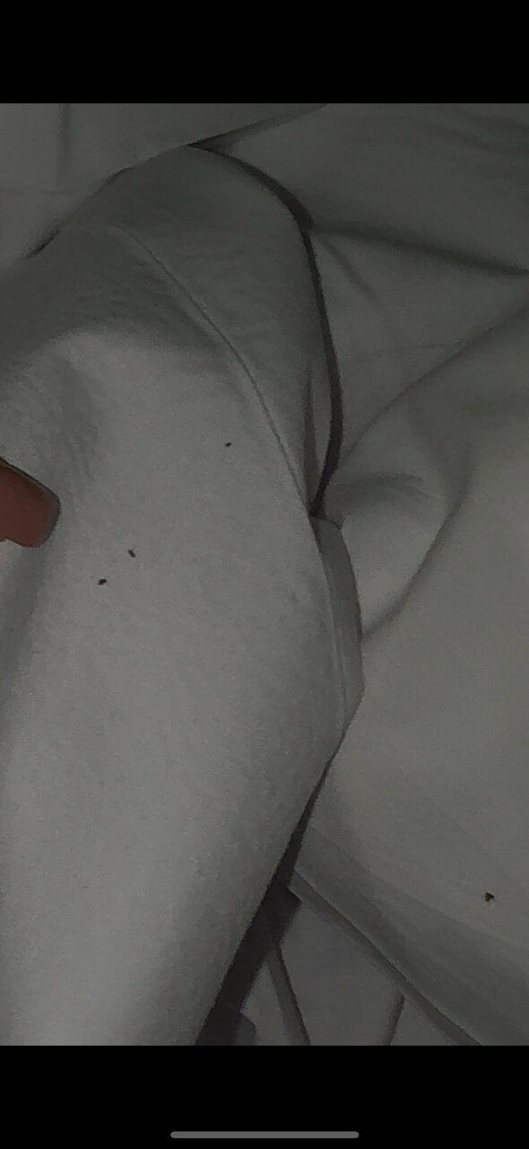 Гостиница Европа Ростов-на-Дону-253