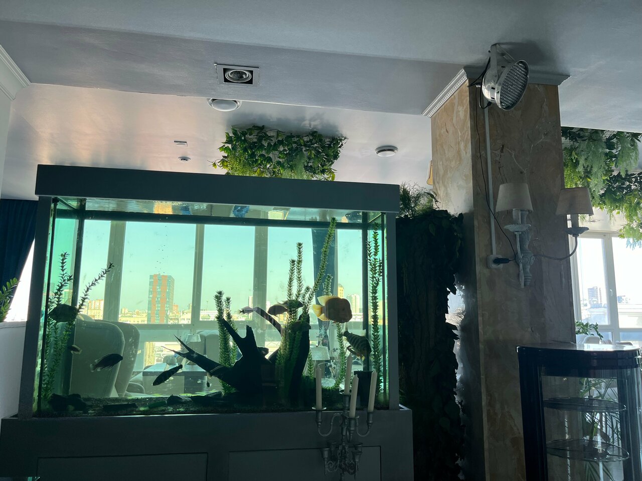 Гостиница Европа Ростов-на-Дону-252