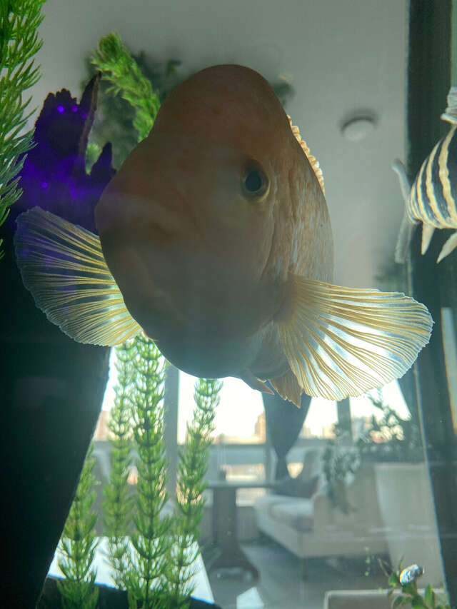 Гостиница Европа Ростов-на-Дону-228