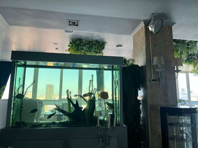 Гостиница Европа Ростов-на-Дону-251